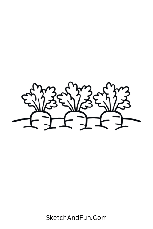 Three carrots peeking from soil, minimalist garden drawings