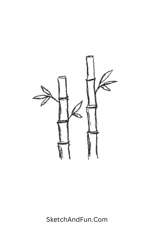 Japanese zen art drawings of bamboo with soft natural lines
