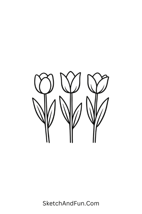 Three tall tulips with simple petals, simple flower drawings