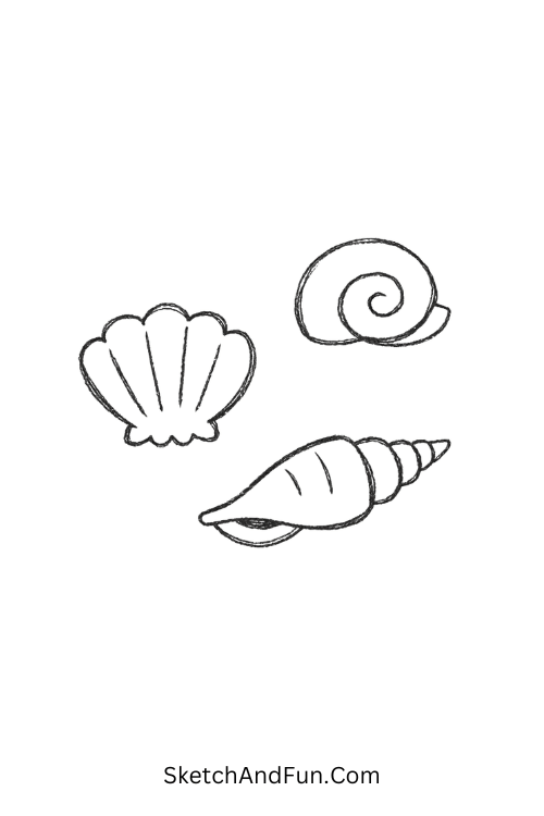Minimal seashell collection arranged neatly, July journal drawing ideas
