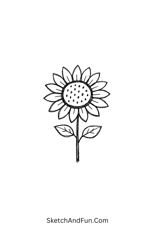 Big sunflower with soft petals sketch, July drawing pencil