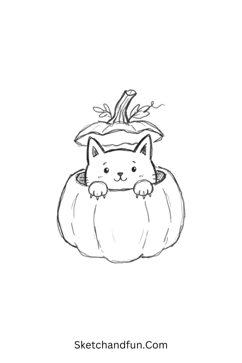 Black cat in a pumpkin drawing