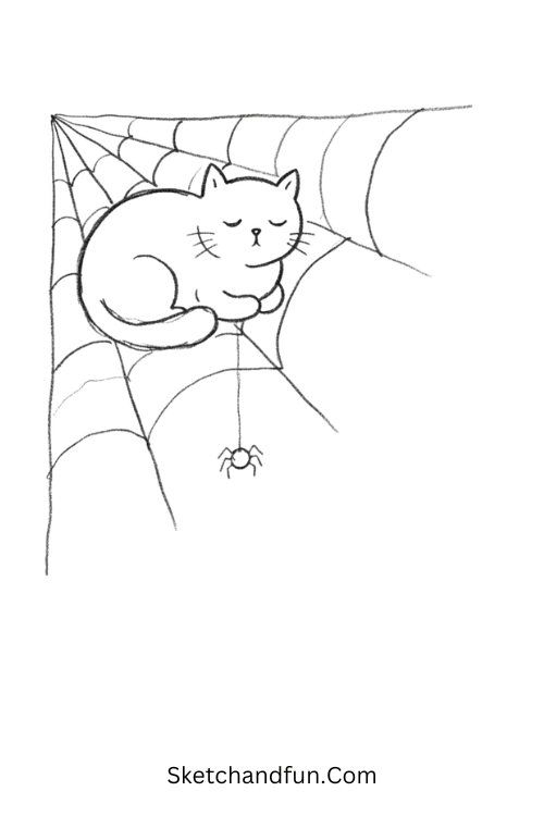 Black cat with spider web drawing