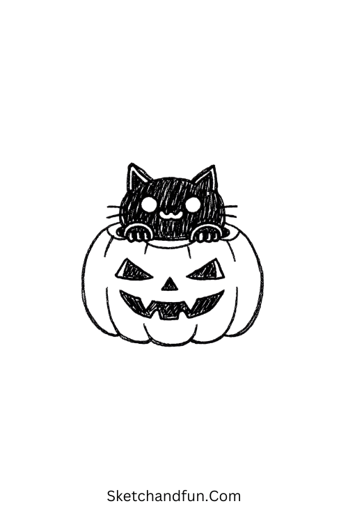 Haunted pumpkin cat drawing with cute black cat and spooky pumpkin