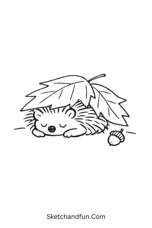 October Hedgehog Drawing curled under autumn leaves