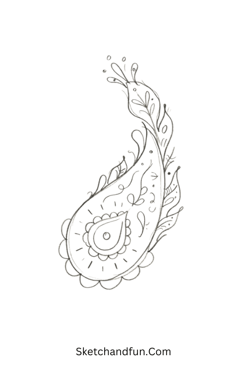 Peacock Zentangle paisley pattern with feather eyes, curved lines, dots, and ornamental details