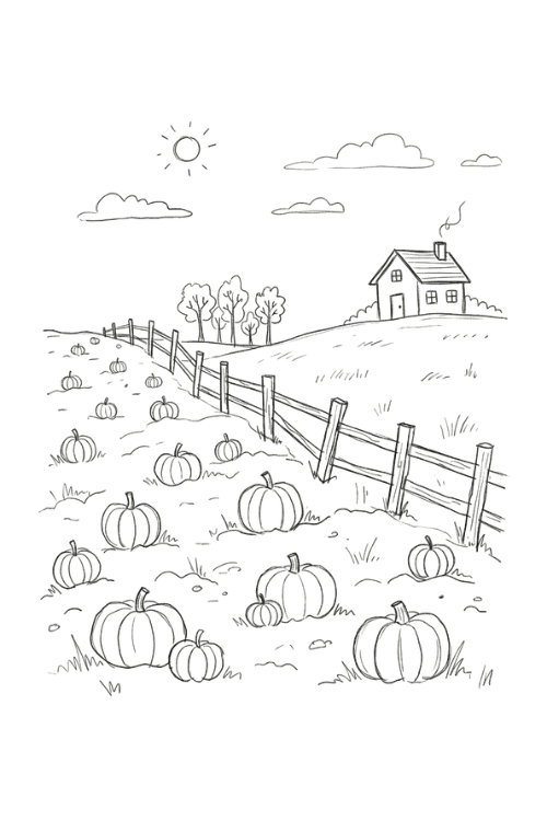 Pumpkin Patch Landscape Drawing