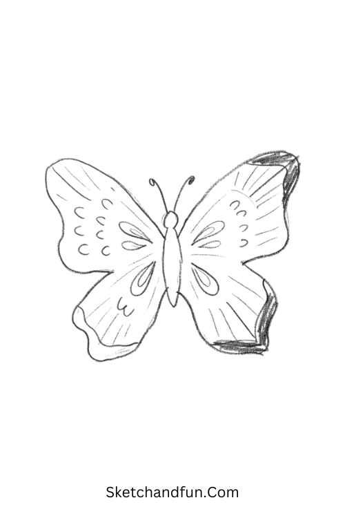 Zentangle butterfly with feather patterns, curved strokes, teardrops, and detailed layered wings