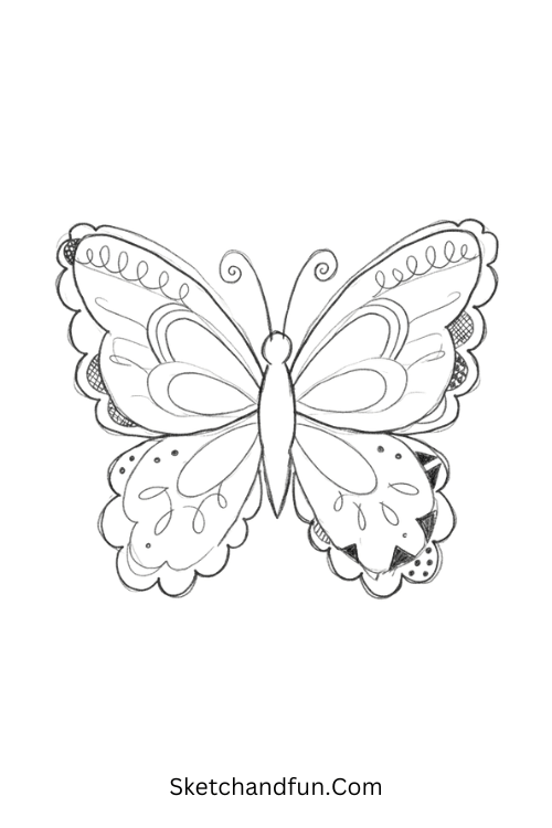 Zentangle butterfly with delicate lace wings, scallops, loops, arches, and detailed line patterns