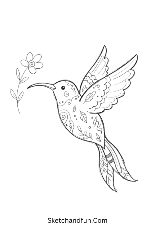 Zentangle hummingbird drawing with delicate patterned wings, flowing tail, spirals, leaves, and ornamental lines